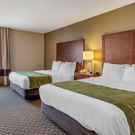 Comfort Inn Charlotte Exterior photo